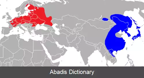 عکس سگ راکونی معمولی