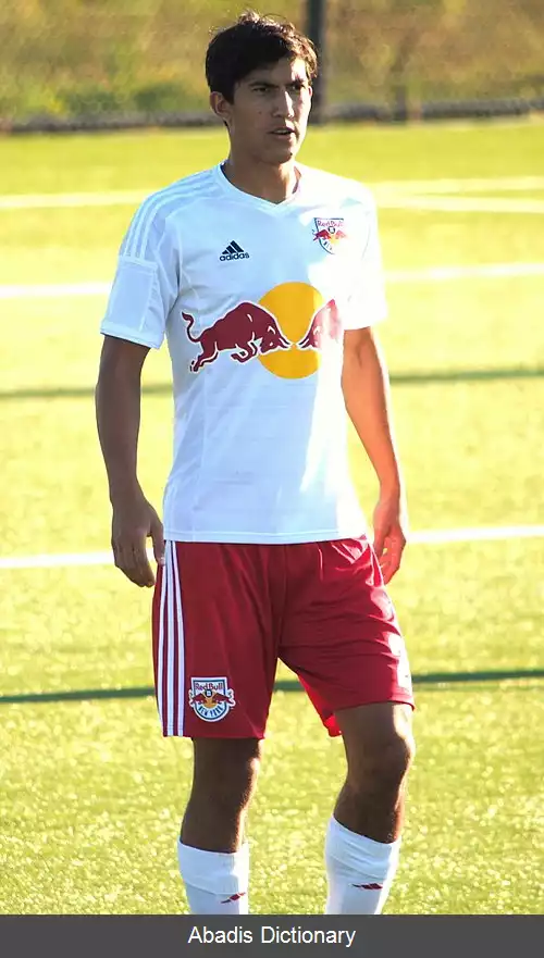 عکس استفانو بونومو