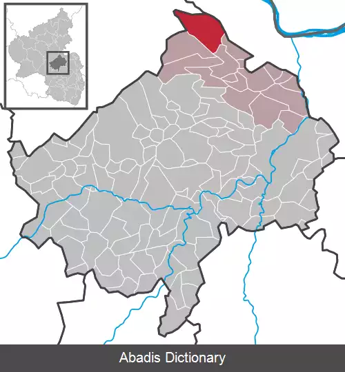 عکس داکسوایلر