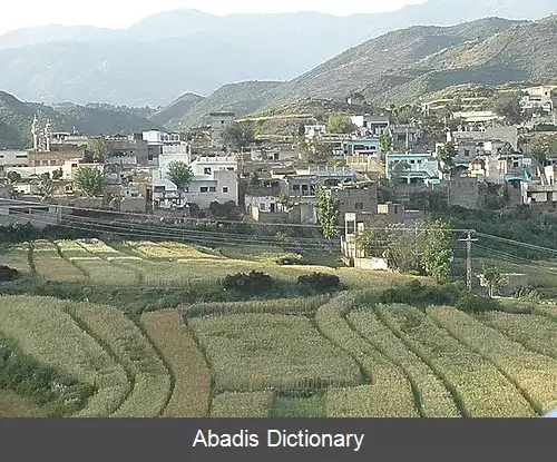 عکس کبگنی