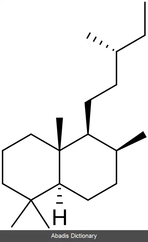 عکس لابدان