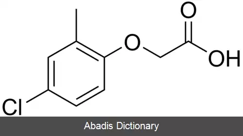 عکس ام سی پی ای