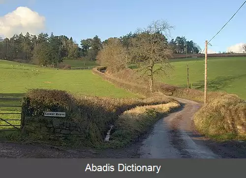 عکس زل موناچوروم