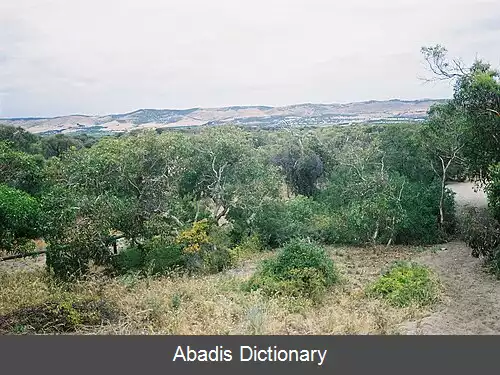 عکس سلیکس هیل استرالیای جنوبی