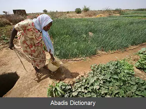 عکس دارفور شمالی