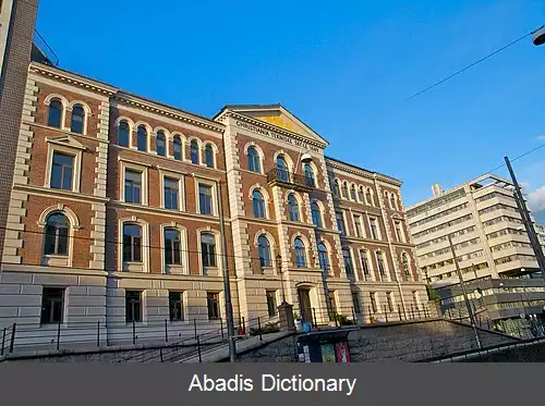 عکس اسلومت دانشگاه شهر بزرگ