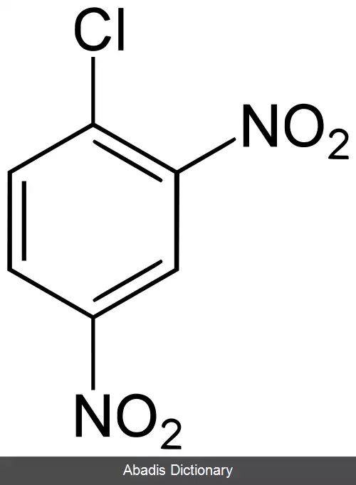 عکس ۴٬۲ دی نیتروکلروبنزن