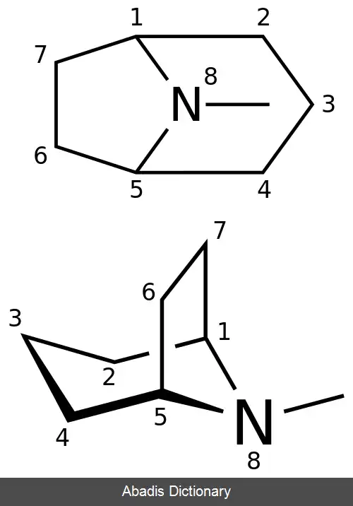 عکس تروپان