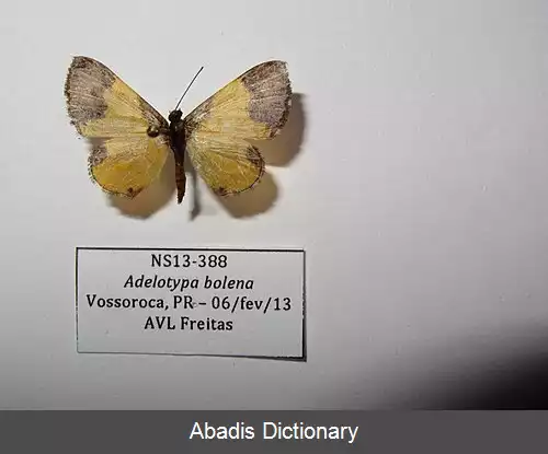 عکس فلزنشان بولنا