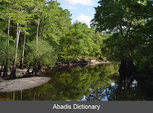 عکس فور هول سومپ