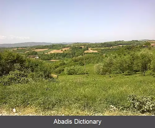 عکس چوکووینه