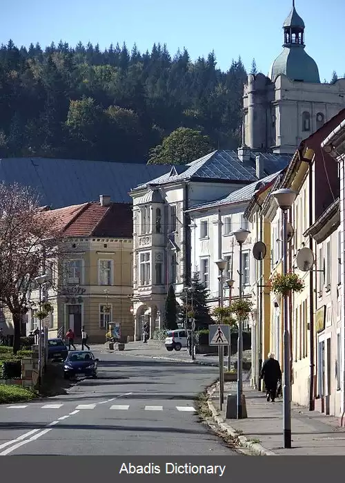 عکس زوتوتی استوک