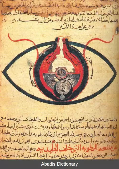 عکس مناظره های علی بن موسی الرضا