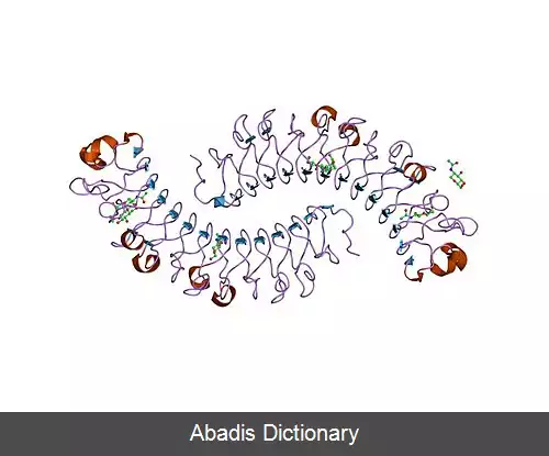 عکس تکرار غنی از لوسین