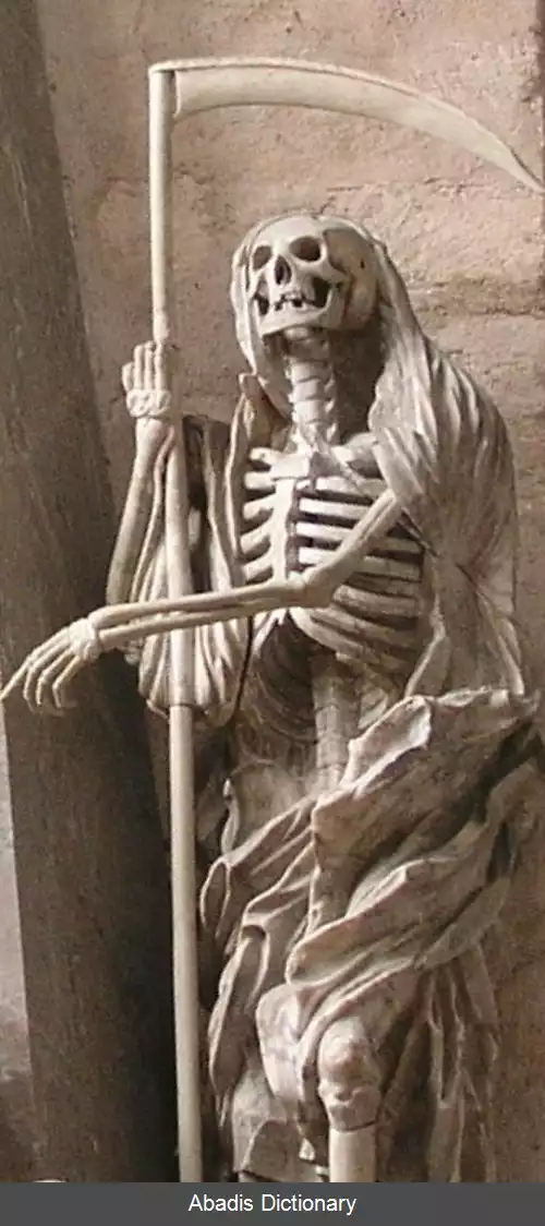 عکس کلیسای جامع تری یر