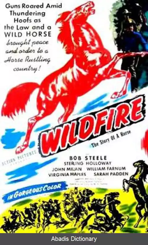عکس آتش سوزی جنگل (فیلم ۱۹۴۵)