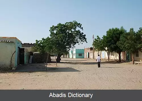 عکس کوستی