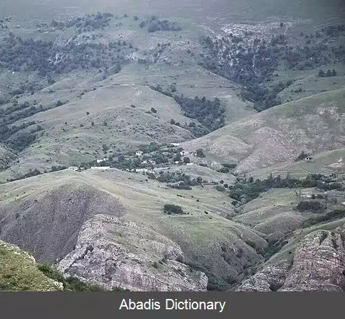 عکس دراختاتسور