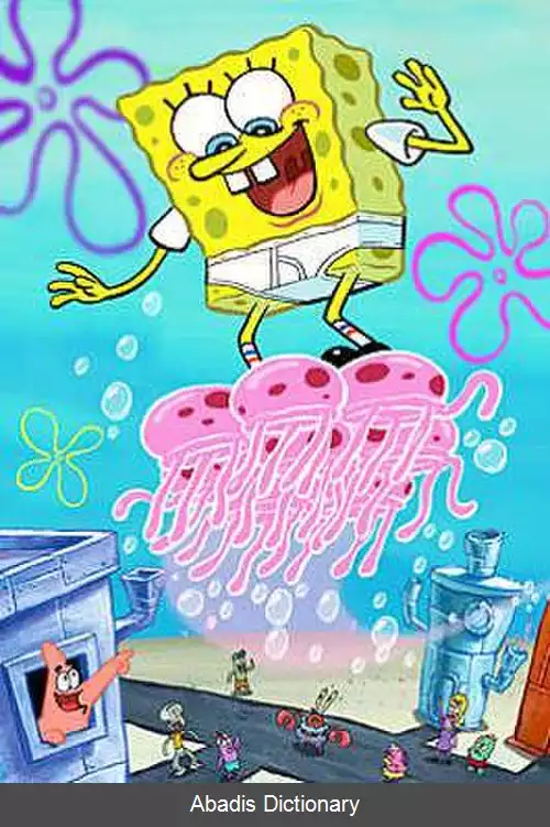 عکس اسفنج پرنده