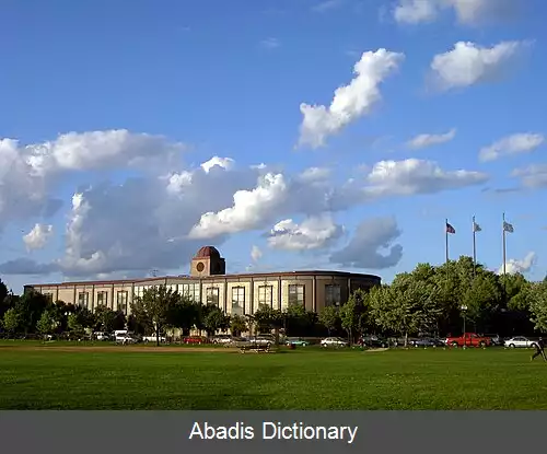 عکس کتابخانه عمومی شیکاگو