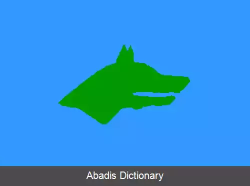 عکس ارگنه کن