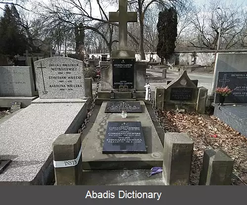 عکس زوزانا واپیتسکا