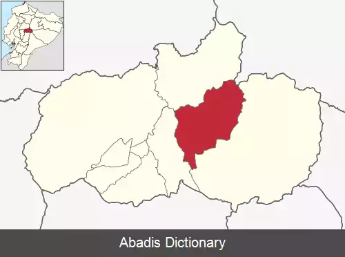 عکس کانتون پاتاته