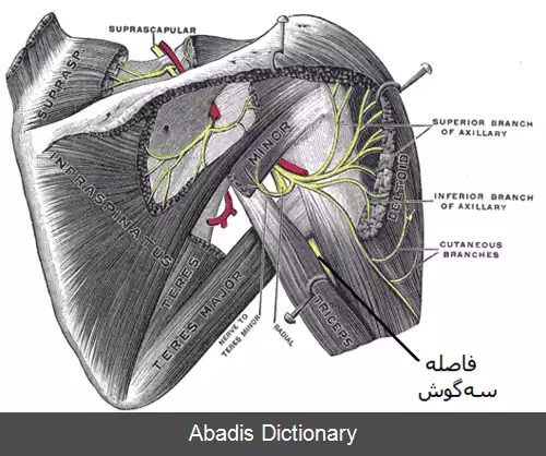 عکس فاصله سه گوش