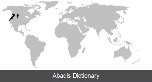 عکس قورباغه دم دار