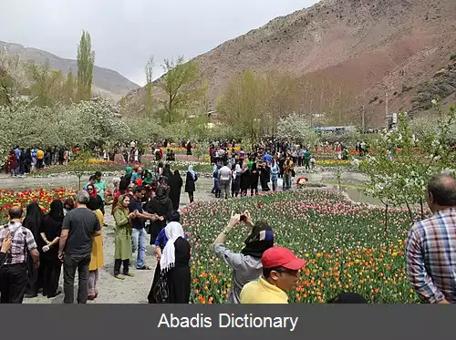 عکس جشنواره لاله