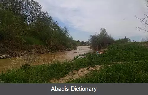 عکس مرنگلوی کوچک