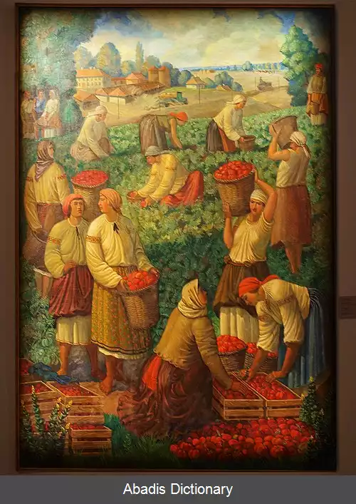 عکس بویچوکیسم