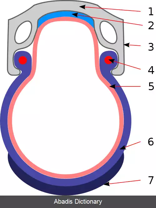 عکس تیوب (دوچرخه)