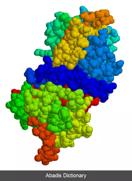 عکس بازدارنده C1