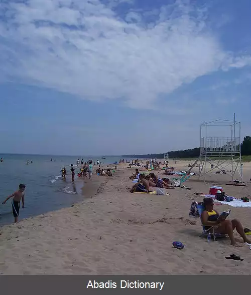 عکس نیوبافالو میشیگان