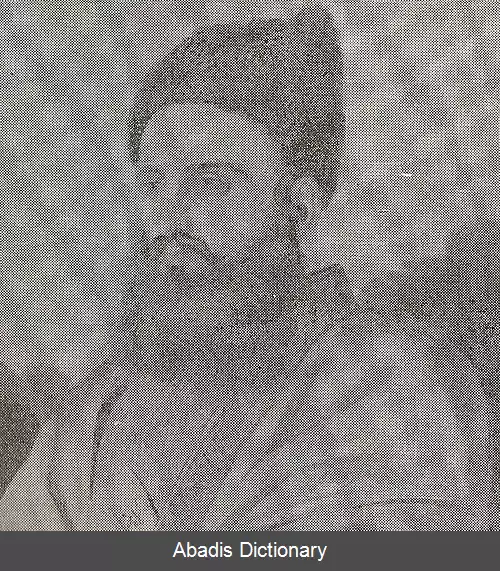عکس سفرنامه خسرو میرزا به پطرزبورغ