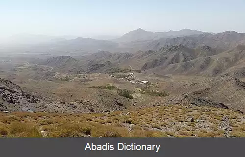 عکس بیدچه