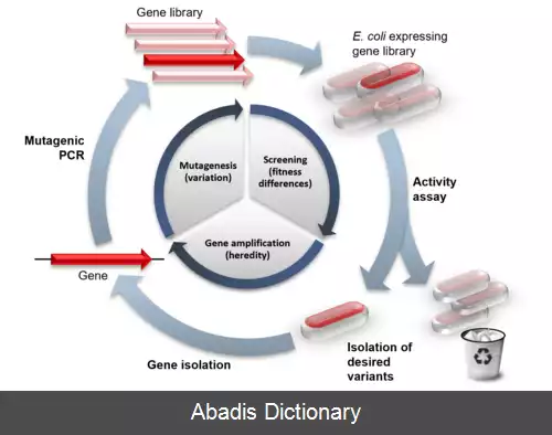 عکس فرگشت جهت دار