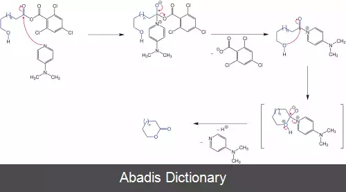 عکس استری کردن یاماگوچی