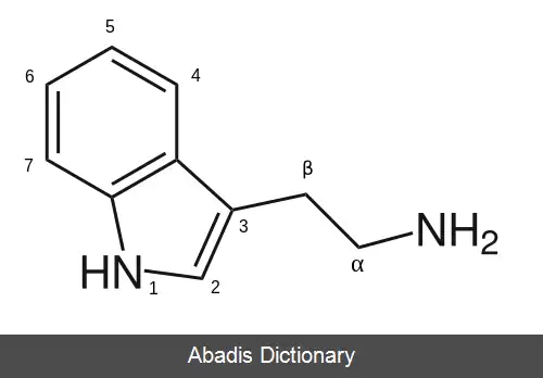 عکس تریپتامین استخلافی