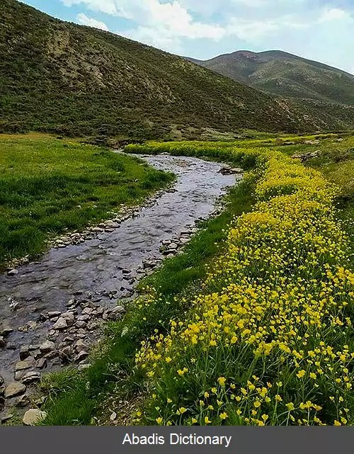 عکس ننادگان