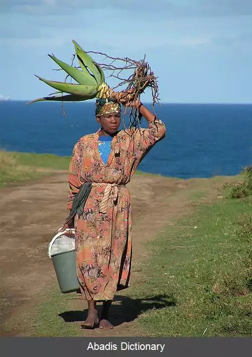 عکس زنان در آفریقای جنوبی