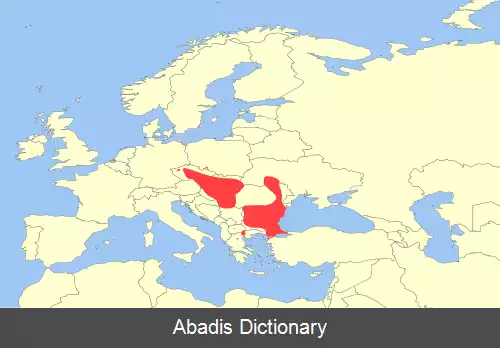 عکس سنجاب زمینی اروپایی