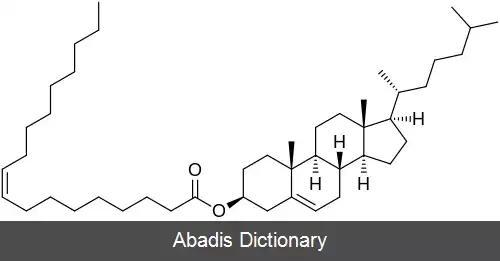 عکس کلستریل استر