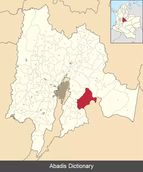 عکس فومکه