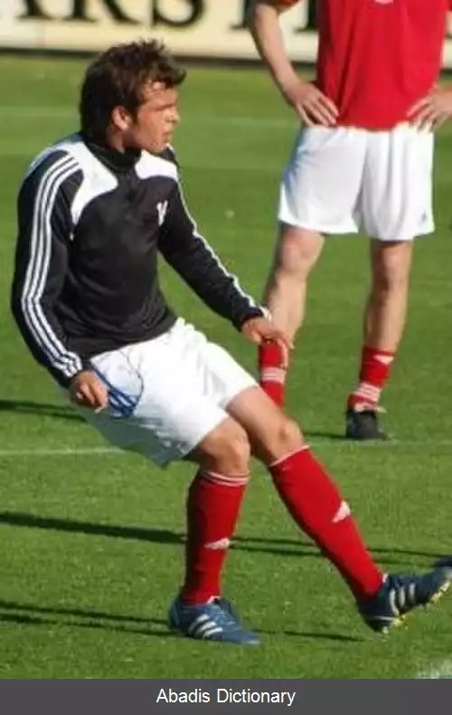 عکس استفان وویچیچ