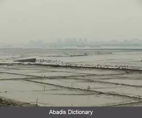 عکس دونگشی فوجیان