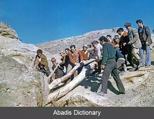 عکس دوجناب