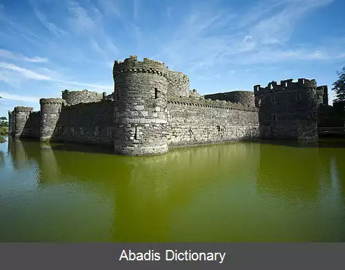 عکس بیومارس