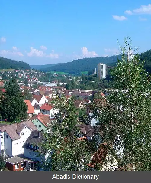 عکس فورت وانگن